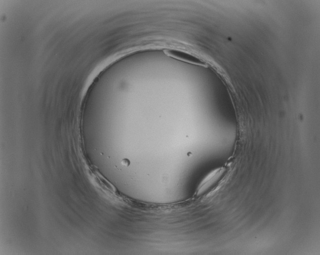 X0000073951530200609181348