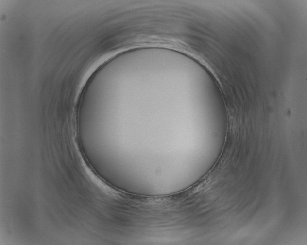 X0000073951531200609181348