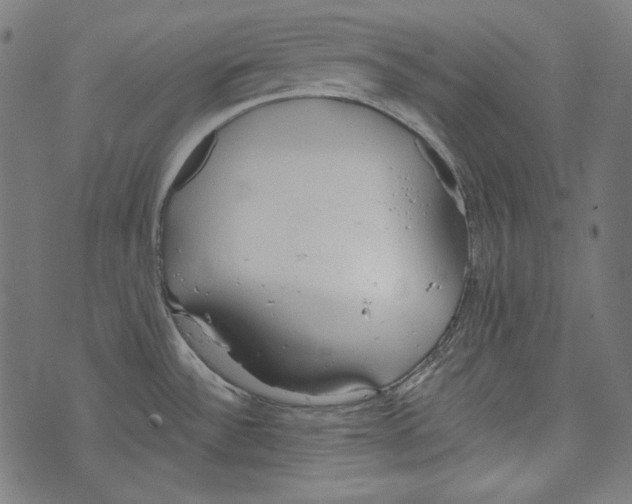 X0000073951532200609181348