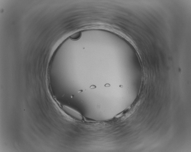 X0000073951533200609181348