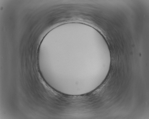 X0000073951534200609181348