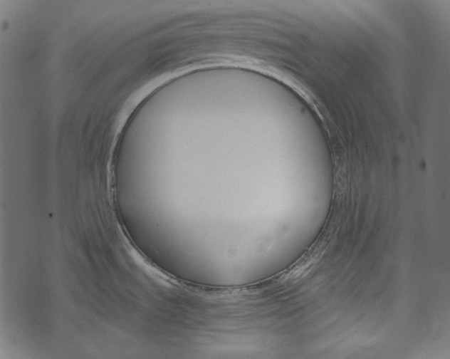 X0000073951535200609181348