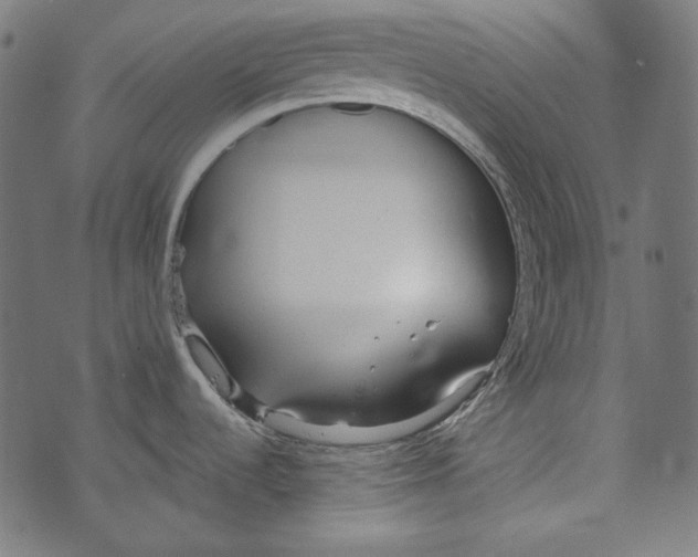 X0000073951536200609181348