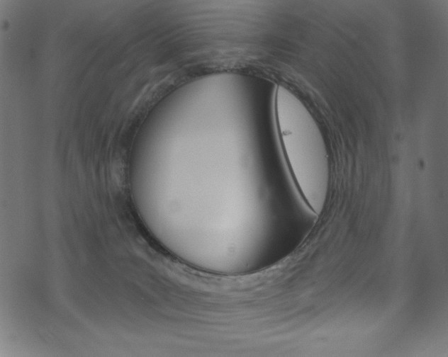 X0000073970035200608210954