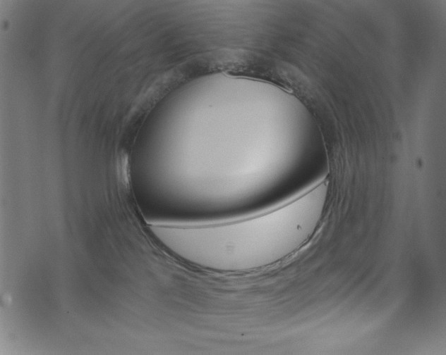 X0000073970041200608210954