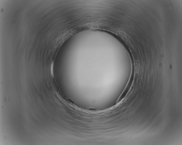 X0000073970047200608210954