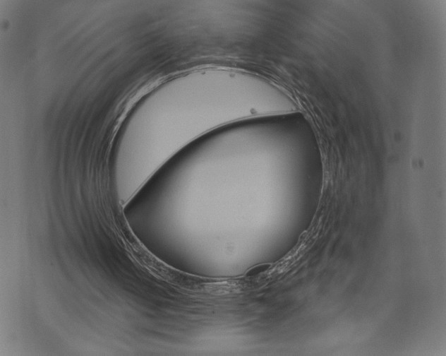 X0000073970050200608210953