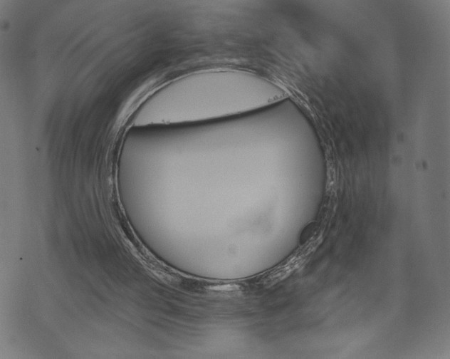 X0000073970053200608210953