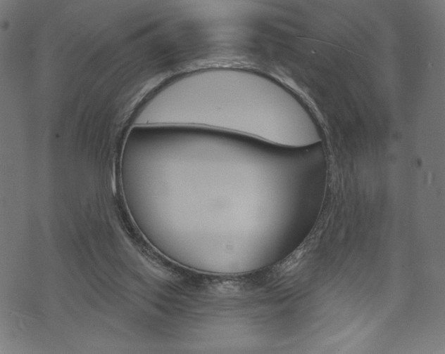 X0000073970062200608210954