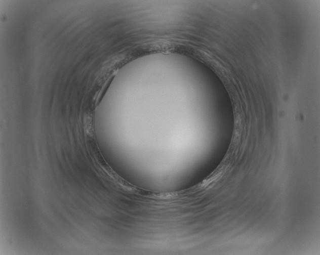 X0000073970096200608210954