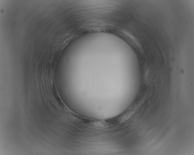 X0000073970121200608210953