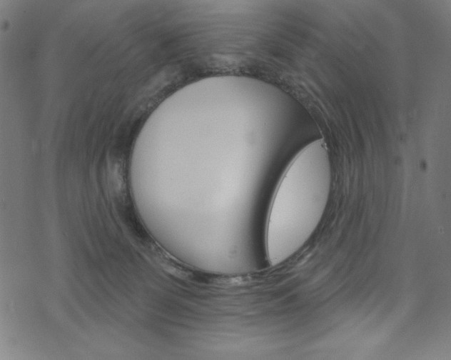 X0000073970131200608210953