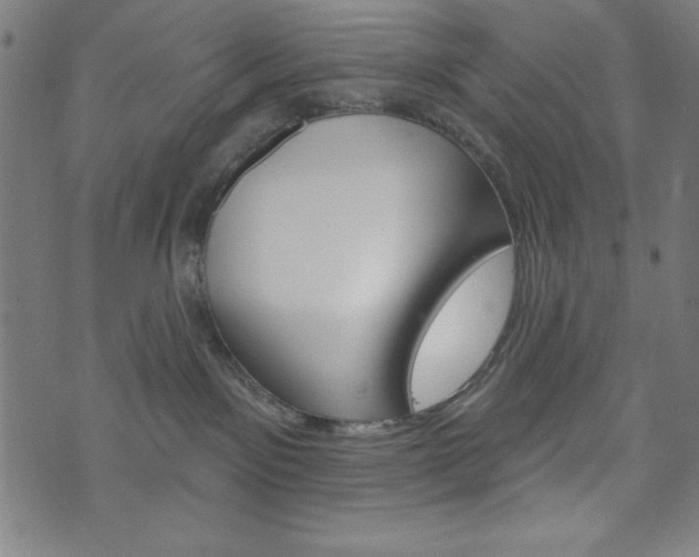 X0000073970141200608210953