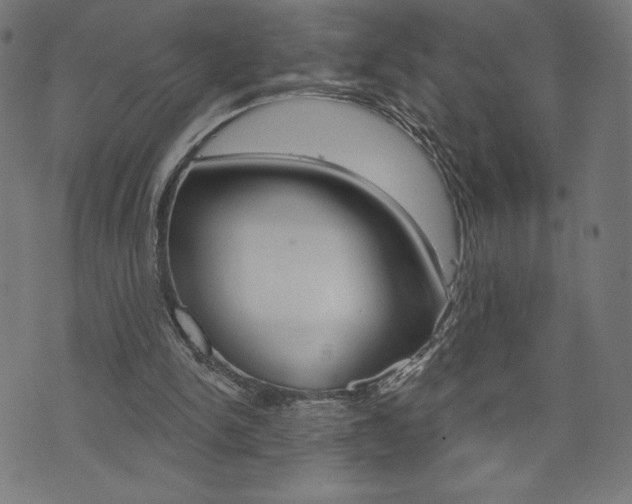 X0000073970150200608210952