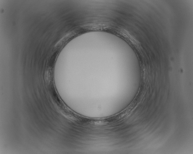 X0000073970165200608210952