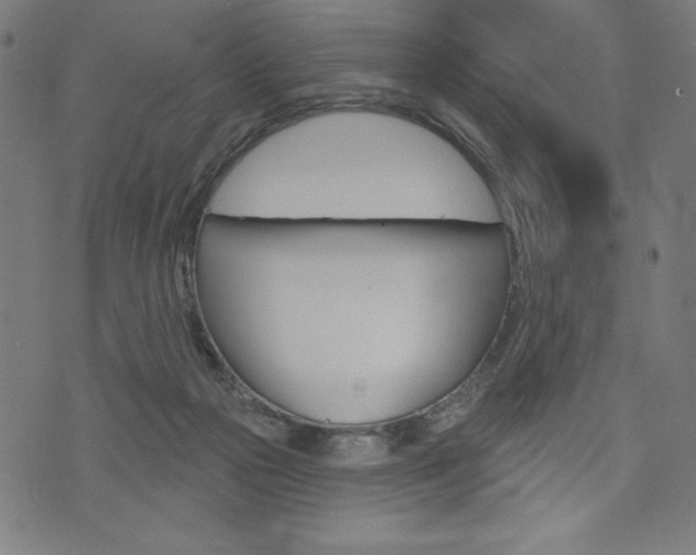 X0000073970169200608210952