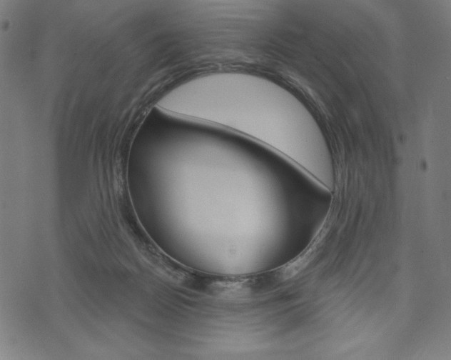 X0000073970170200608210952