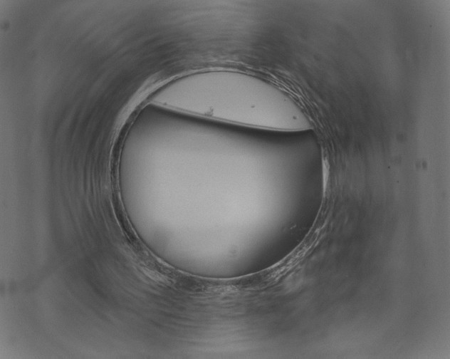 X0000073970195200608210952