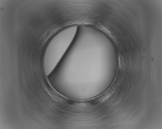 X0000073970205200608210952