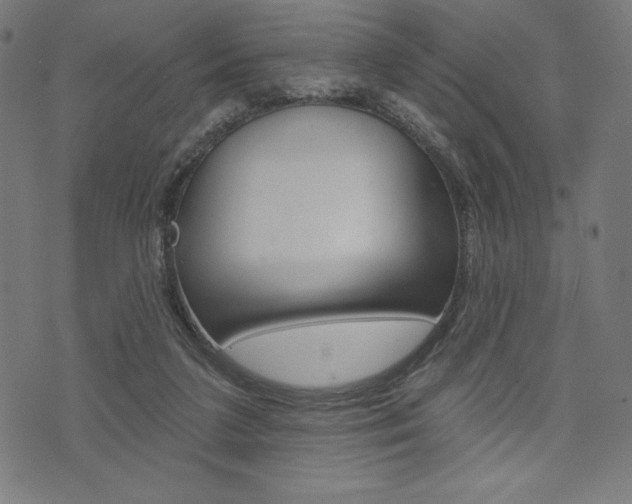 X0000073970211200608210951