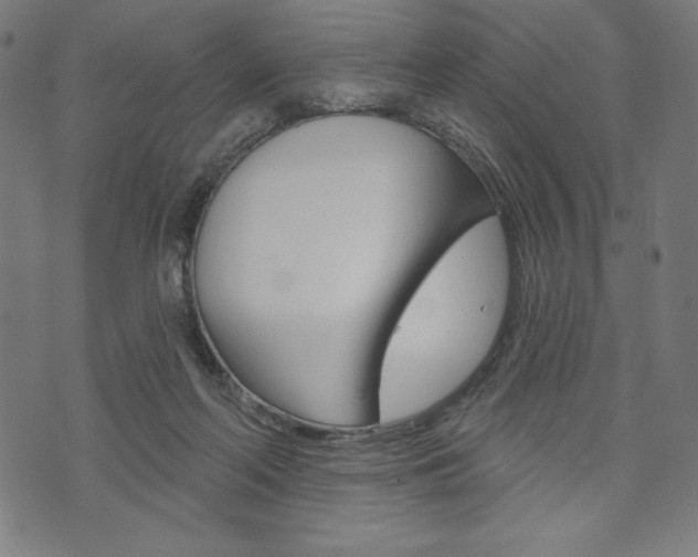 X0000073970214200608210951