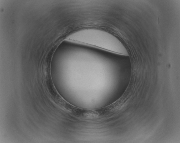 X0000073970215200608210951