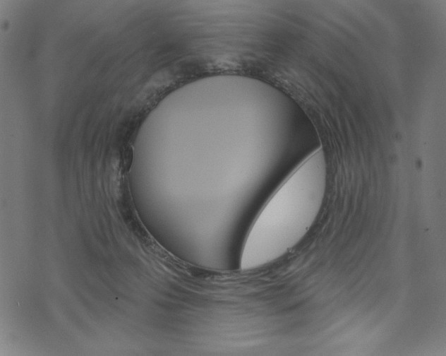 X0000073970223200608210951