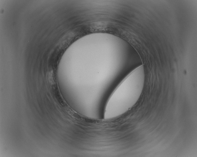 X0000073970224200608210951