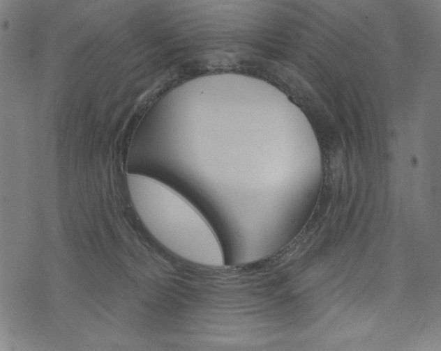 X0000073970228200608210951