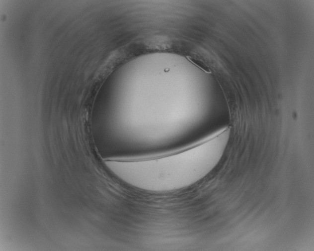 X0000073970229200608210951