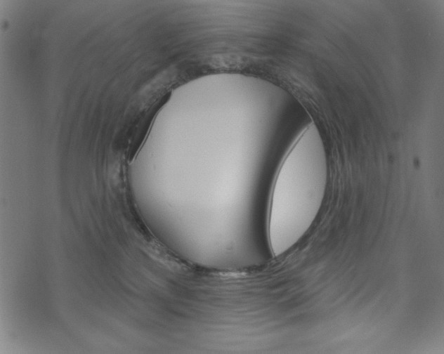 X0000073970233200608210951