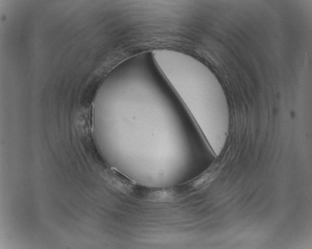 X0000073970237200608210951