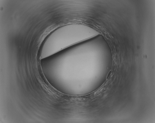 X0000073970242200608210950
