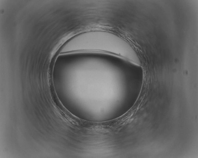 X0000073970244200608210950