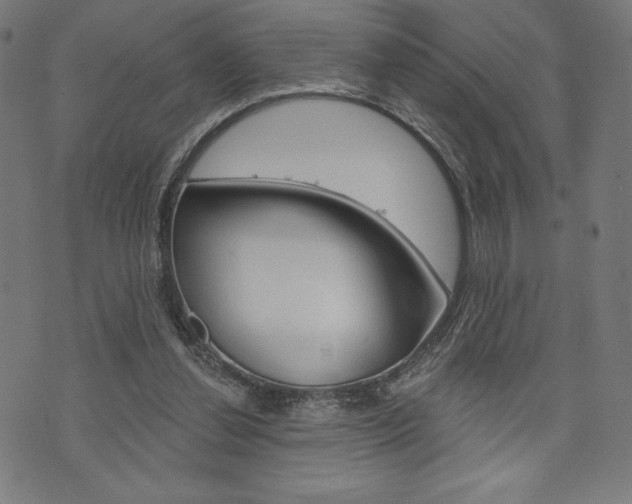 X0000073970252200608210950