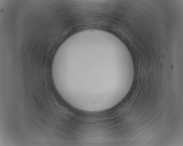 X0000073970268200608210951