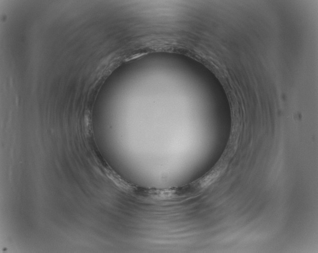 X0000073970288200608210951