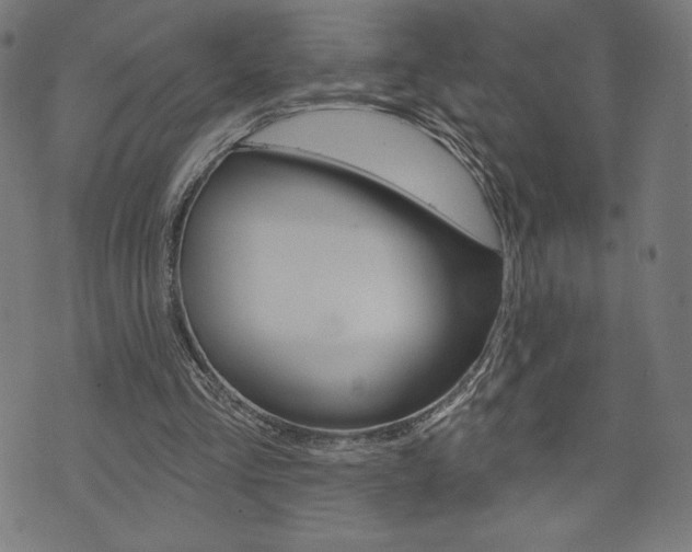 X0000073970293200608210950