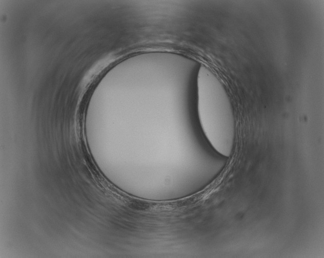 X0000073970294200608210950
