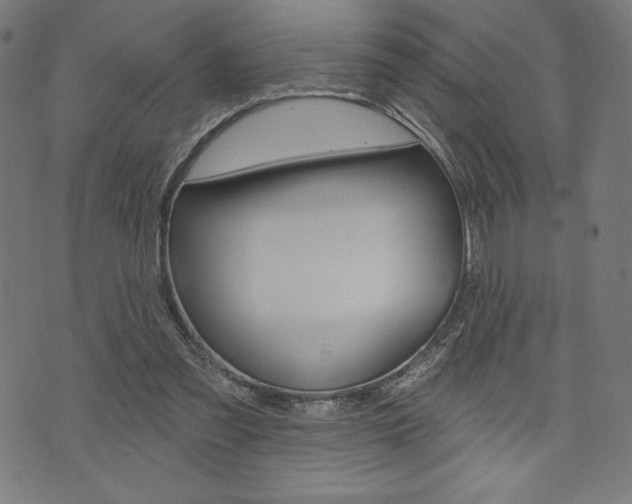 X0000073970301200608210950