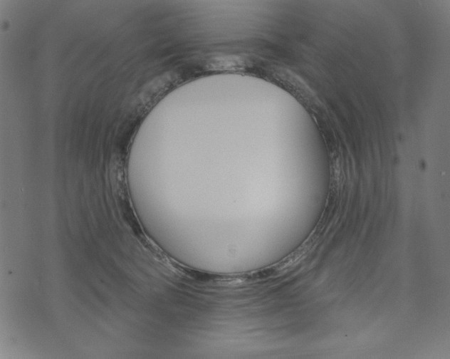 X0000073970322200608210950