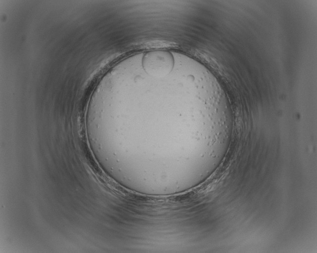 X0000073970351200608210949