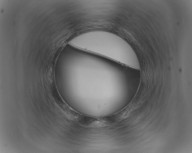 X0000073970364200608210949