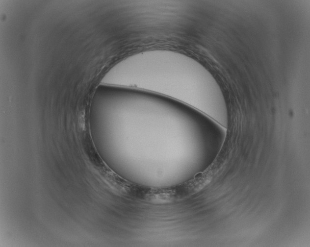 X0000073970368200608210949