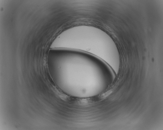 X0000073970382200608210949