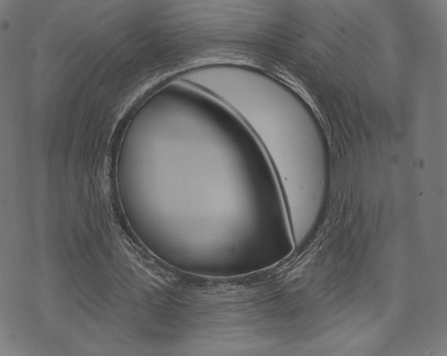 X0000073970387200608210949