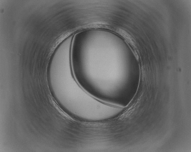 X0000073970389200608210949
