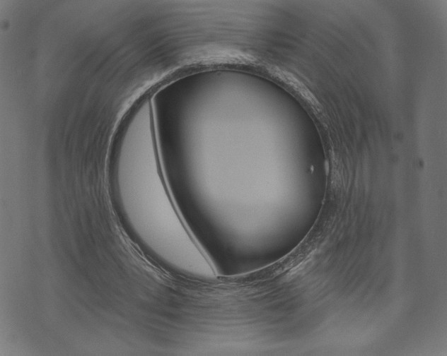 X0000073970391200608210949
