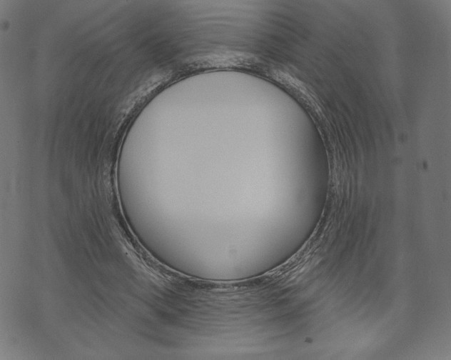 X0000073970394200608210949