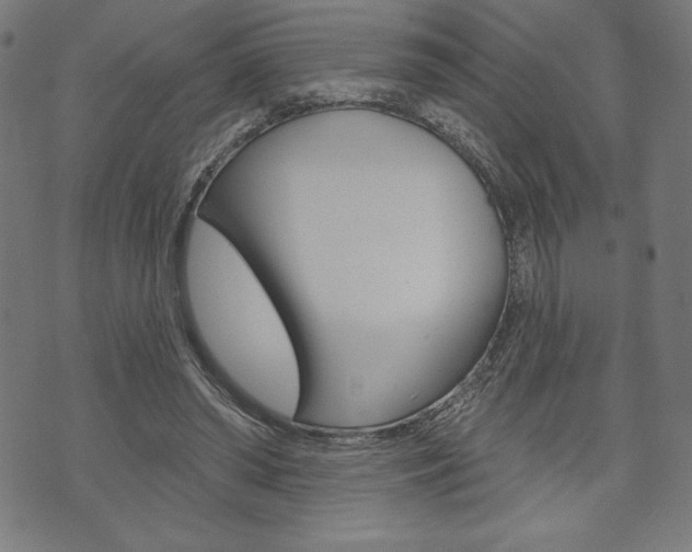 X0000073970398200608210948